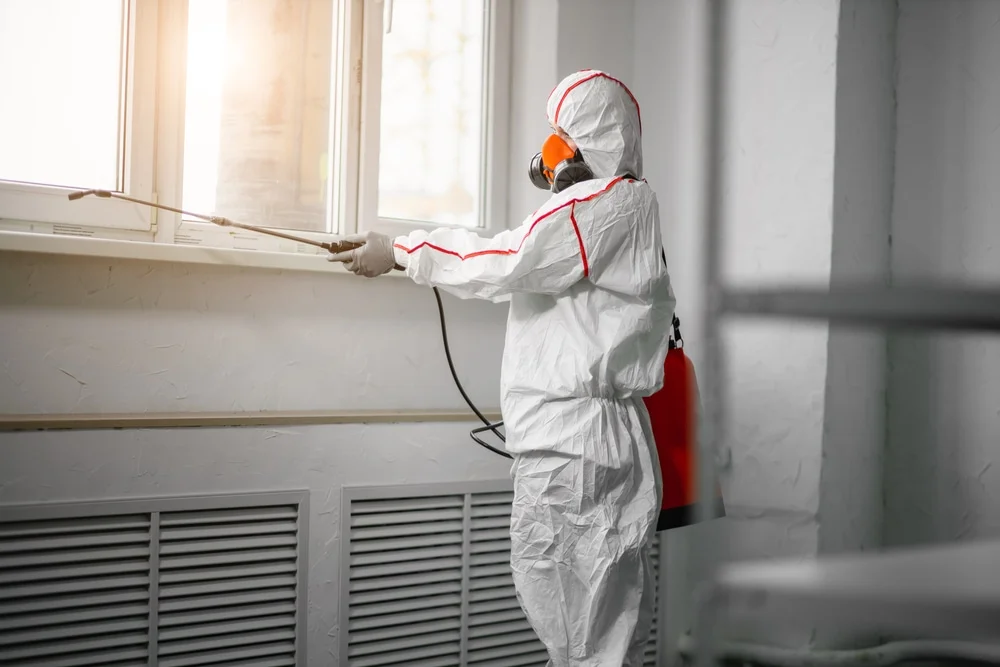 Professional mold remediation services in Social Circle, GA